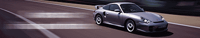 porsche911GT2.gif (29615 bytes)